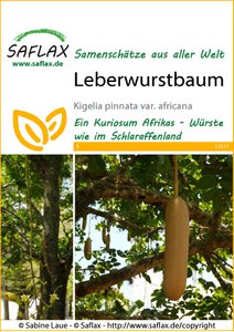 Leberwurstbaum
