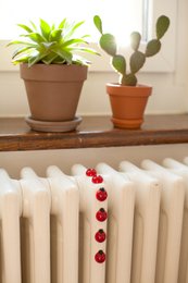 Trendform Magneten Ladybug - Set of 6
