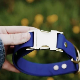 Plain Jane dog collar