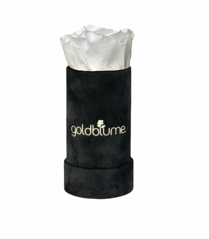 Velvet Black Collection