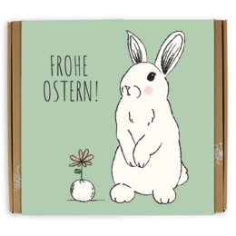  A medium-sized gift box containing 9 seed bombs with a happy Easter bunny design. The box is green with the German text "Frohe Ostern!" (Happy Easter) and features a cute white rabbit illustration.