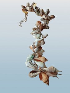 Schelpendecoratie XL