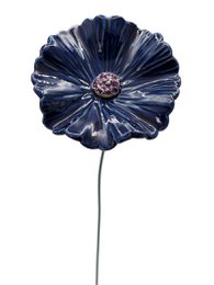 Cornflower blue large 8 cm