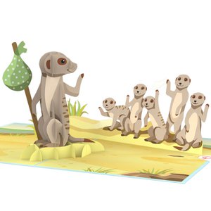 XXL do well meerkat pop-up card