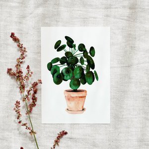 Postcards - Pilea