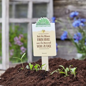 Saatgrüße - Hat die Blume einen Knick