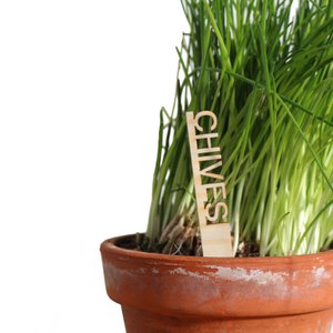 Houten kruiden labels - Engels