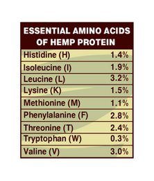 Hemp Protein, 50% protein, organic, Dragon Superfoods, 200g