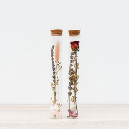 Dried flower holder with romantic chic duo of preserved flowers in glass vials with cork stoppers, featuring a variety of dried flowers and plants in natural colors.
