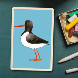 Durable wooden card featuring a stylized illustration of an oystercatcher bird with a black and white body, orange beak and legs, on a blue background.