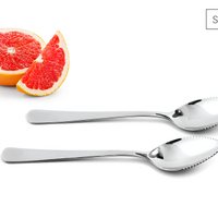 Grapefruitlöffel Set aus Edelstahl