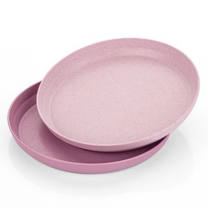 Anzuchtplatte, 2 Stück, rosa