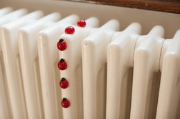 Trendform Magneten Ladybug - Set of 6