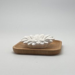 Astelia : le diffuseur en plâtre