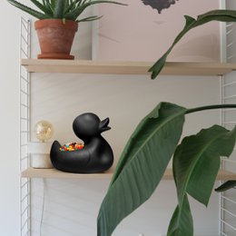 Hr. Ugly Duckling Small & Large