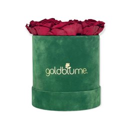 Colección Terciopelo Verde