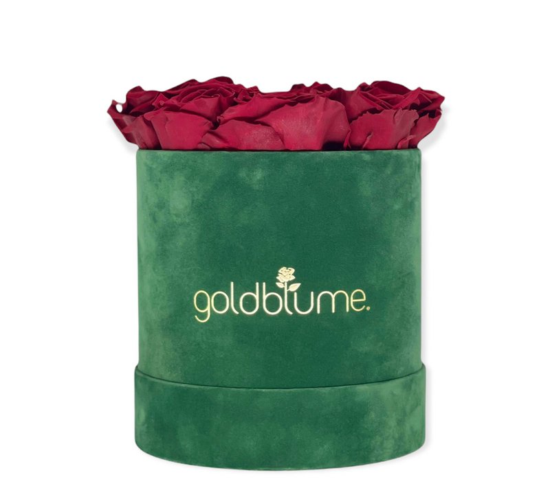 Colección Terciopelo Verde