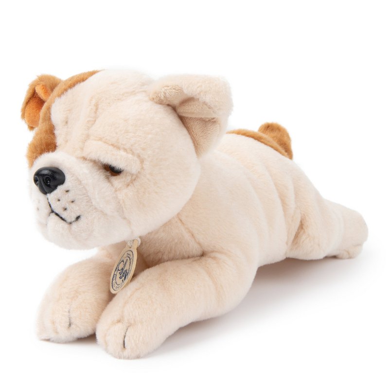 BTC - Bertha the American Bulldog in gift box - 20 cm -