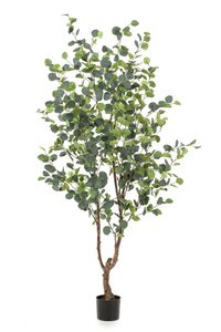 Artificial plant - Eucalyptus - Blue Gum Tree - 180 cm