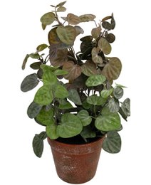  Artificial plant with green and purple leaves in a brown pot. Compact, bushy plant with rounded leaves.