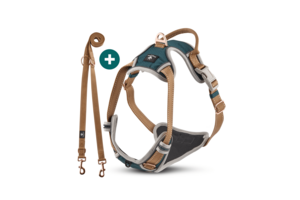 Hondentuig + lijnset “Rocket”