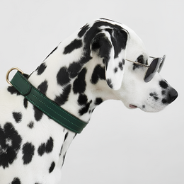  Vegan leather dog collar, forest green, adjustable sizes, durable pet accessory with buckle closure.