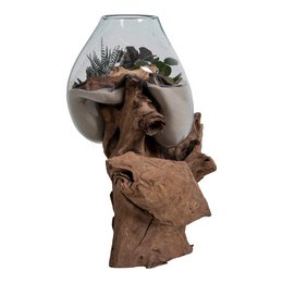 Decorative glass terrarium with driftwood and succulents. Unique, natural-looking design for home decor.