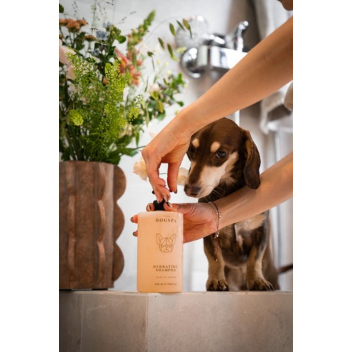 Champú hidratante para perros
