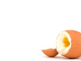 Cregg / Rouge / Egghead