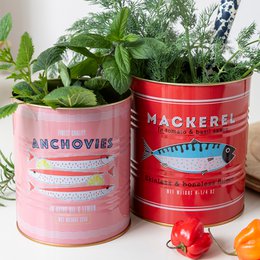 Fish storage tins (set of 2)