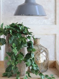 Kunst hangplant Scindapsus hanging Groen