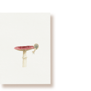 Glückspilz | ansichtkaart