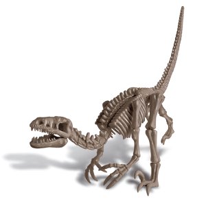 Graaf Je Dino Op - Velociraptor - FR + NL Versie