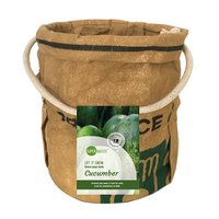 Lassen Sie es vegetarische und frudtie -Gurke anbauen