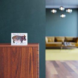 Hippo Hip Evviva