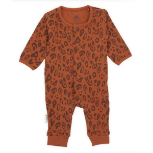 Boxpakje | Leopard | Mokka-Biskuit