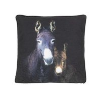 Ezels outdoor kussen 50x50cm