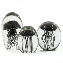 Jellyfish in glass