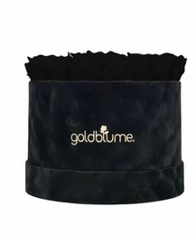 Velvet Black Collection