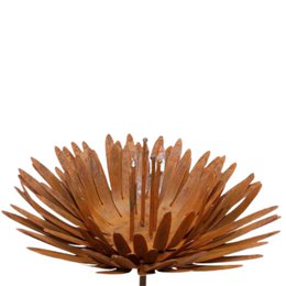 Rust-colored metal garden decoration with a chrysanthemum-like shape, suitable for use on a bar or in a patina garden setting.