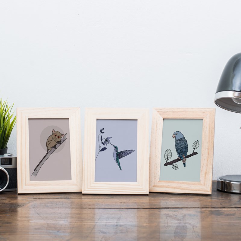 Postkarte Kolibri
