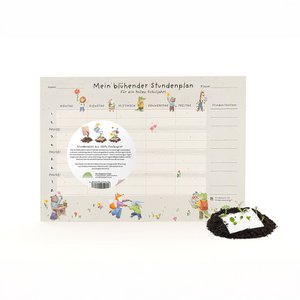 Back-to-School, Stundenplan