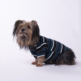 honning jumper