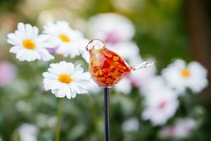 Tuinprikker Vogel Oranje | hoogte 80 cm | Glas | Tuindecoratie