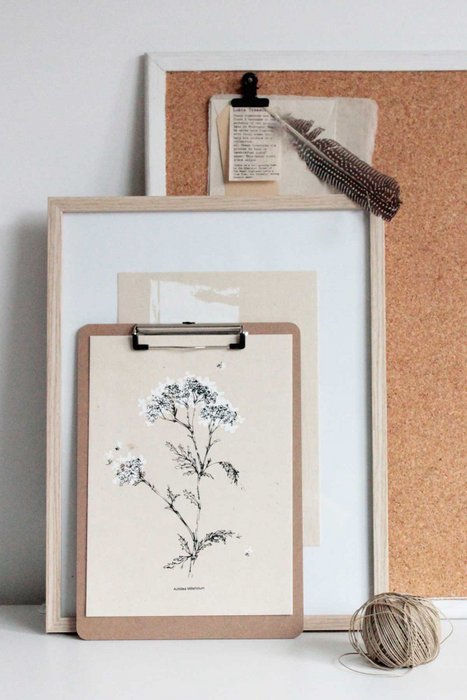 A4 White flower