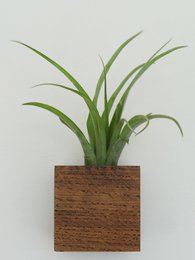 Cubo - Roble Oscuro