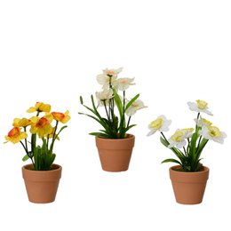  Artificial narcissus plant in a 7.5cm diameter, 18cm tall pot. Realistic-looking yellow and white flowers in a terracotta planter.