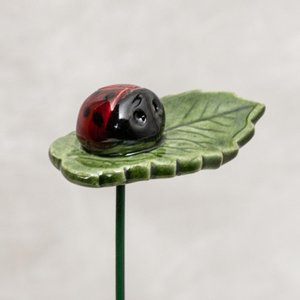 Gelukslieveheersbeestje op blad met/zonder tekstkaartje