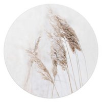 Plexiglasmalerei Pampasgras 50 Runde
