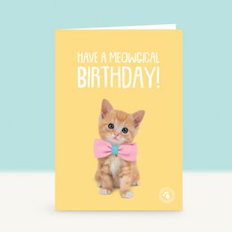  Adorable kitten with a pink bow tie on a birthday card with the text "Have a Purrfect Birthday!"